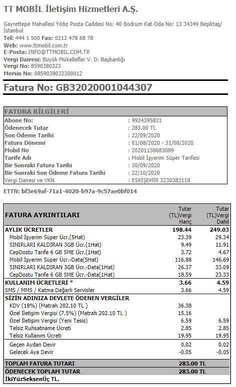 Elektrik, Su, Doğalgaz, İnternet, Telefon E-faturalarını Nasıl Faturaya İşlerim?